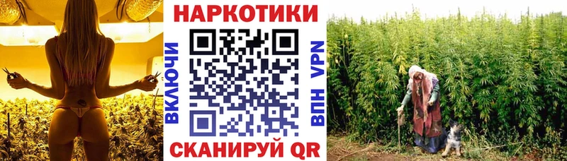 Где можно купить наркотики Ленинск-Кузнецкий Конопля ТГК ГАШИШ Мефедрон