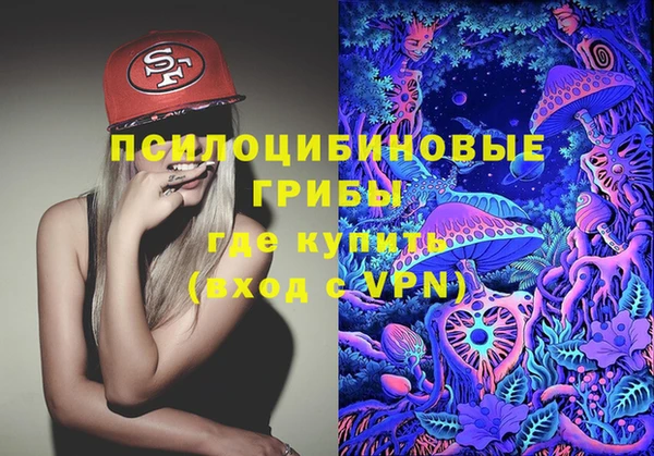 молекула духа Пролетарск
