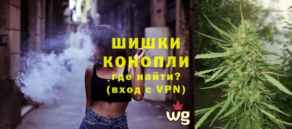 PSILOCYBIN Приозерск