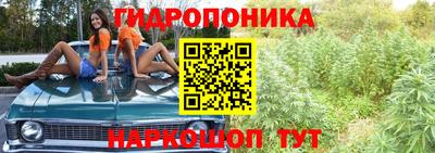 эйфоретик Будённовск