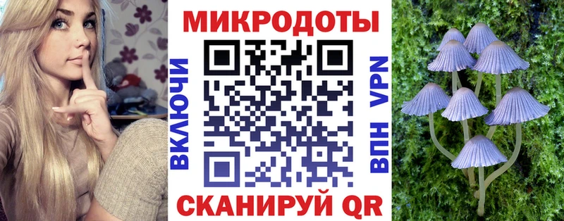 Псилоцибиновые грибы Psilocybe  дарк нет какой сайт  Ленинск-Кузнецкий 