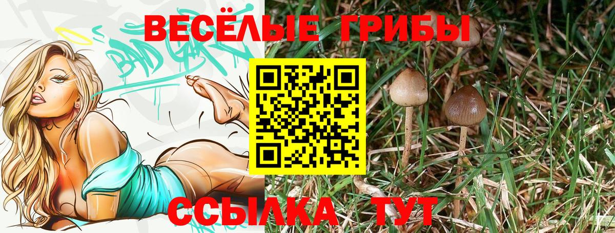 Галлюциногенные грибы GOLDEN TEACHER  Вход с VPN  цены наркотик  Ленинск-Кузнецкий 