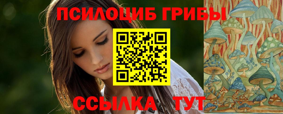 Галлюциногенные грибы мухоморы Ленинск-Кузнецкий