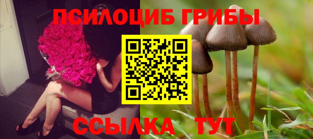 MDMA  Кокаин  Альфа-ПВП  Ленинск-Кузнецкий  МЕФ  МЕФ  Гарик  Вход с VPN  Molly  Бошки Шишки  ГЕРОИН  Купить наркотики  МАРИХУАНА 